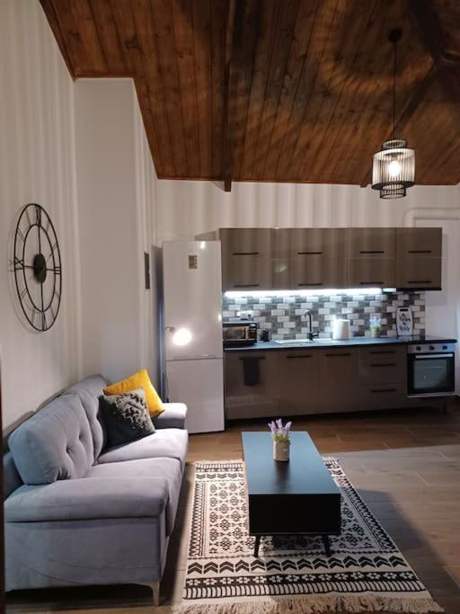 Luxury Apartment With Balcony Mytilene ภายนอก รูปภาพ